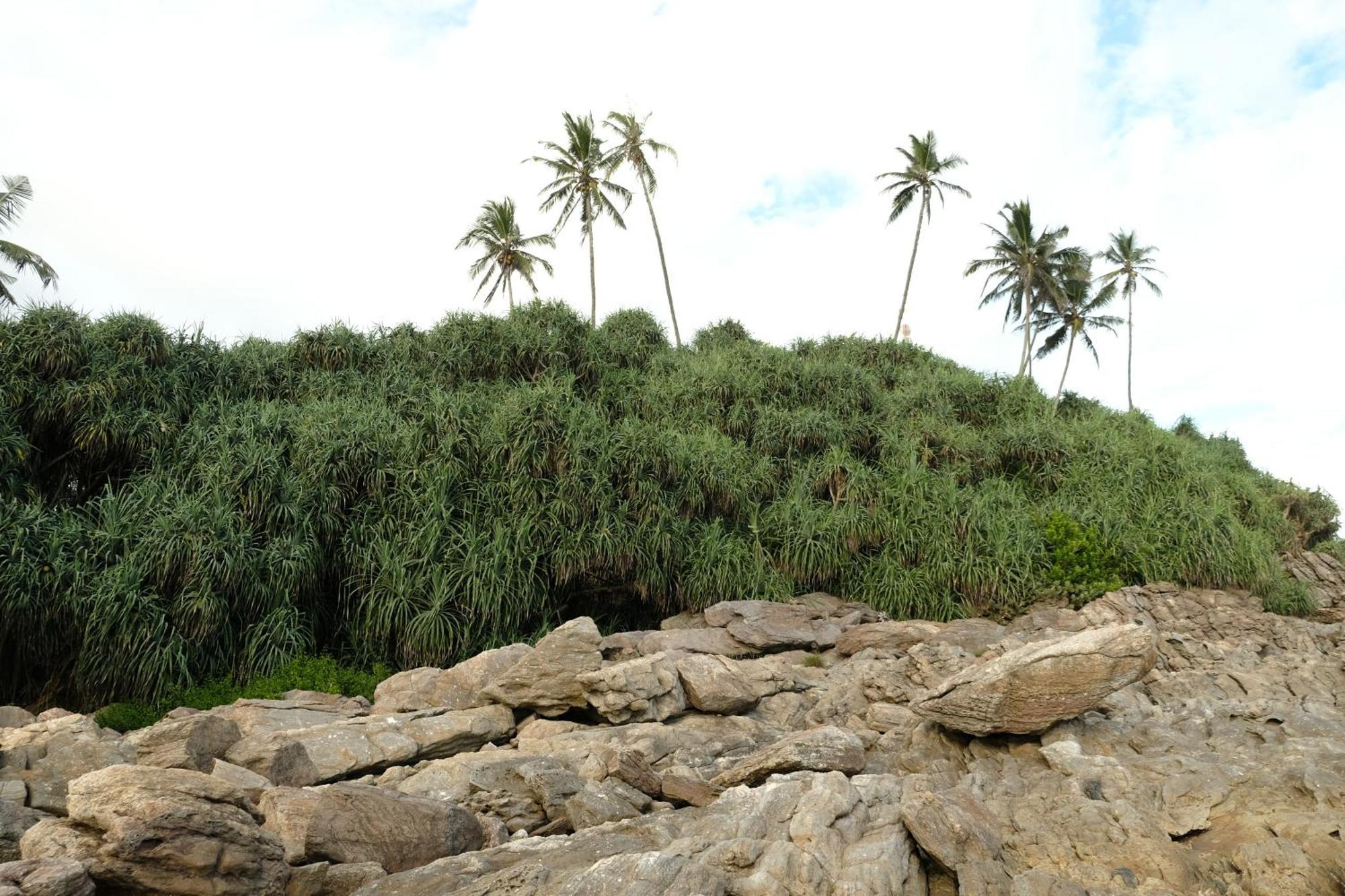 Menaka Homestay Tangalle Kültér fotó